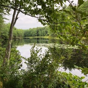 Meet your Posher, Faith